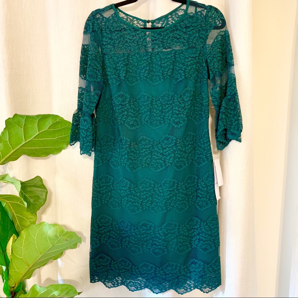 NWT Beautiful green lace dress with bell sleeves.